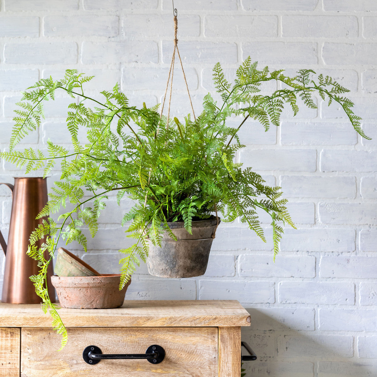 Potted Hanging Fern, Large