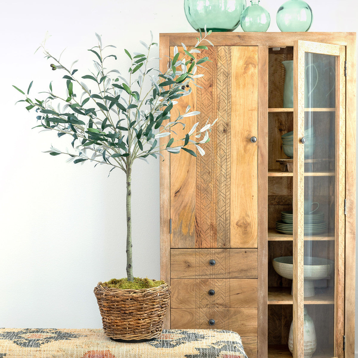 Potted Olive Topiary