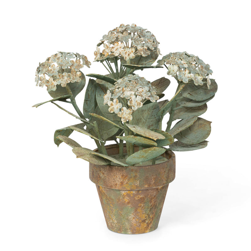 Aged Metal Potted Hydrangea