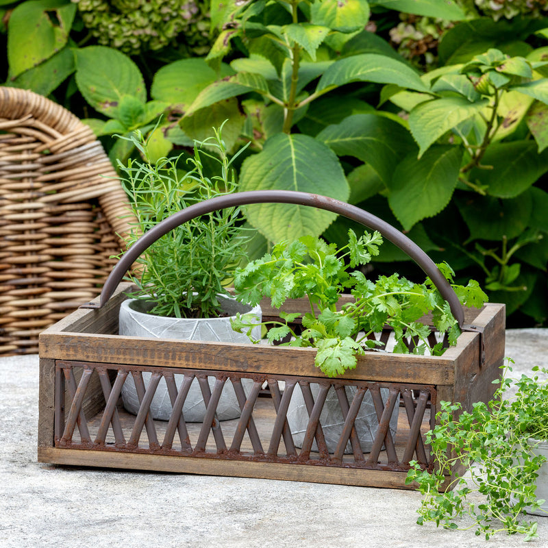 Iron Lattice Garden Trug