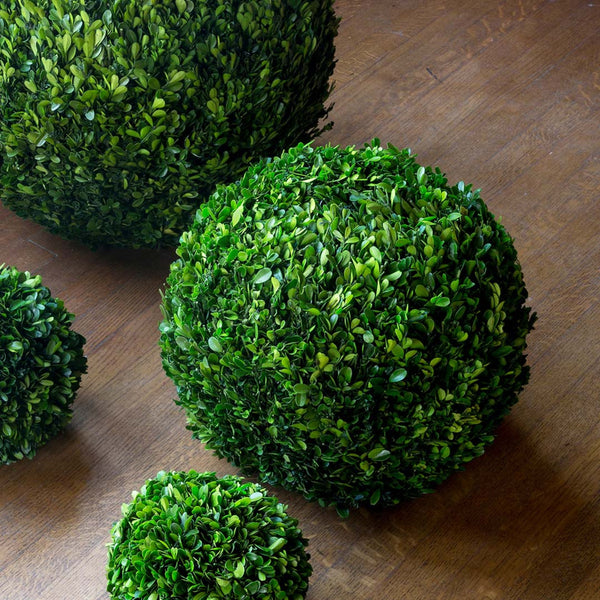 Preserved Boxwood Ball, 16"