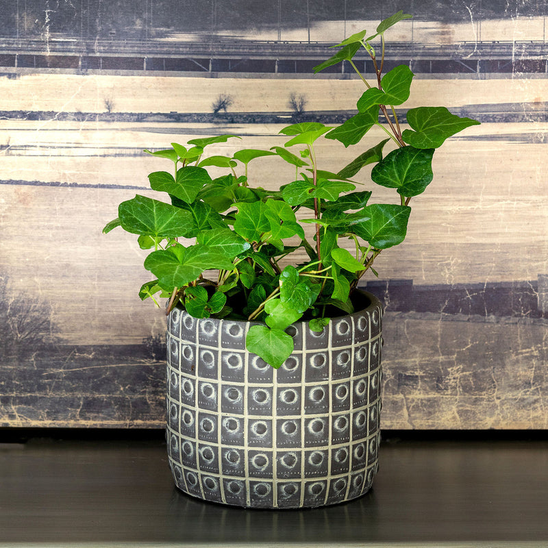 Rivet Pattern Pot, Medium