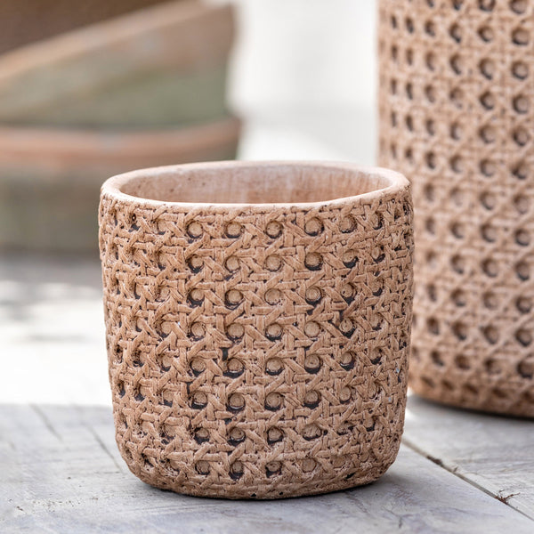 Cane Relief Pattern Cement Pot, 6"