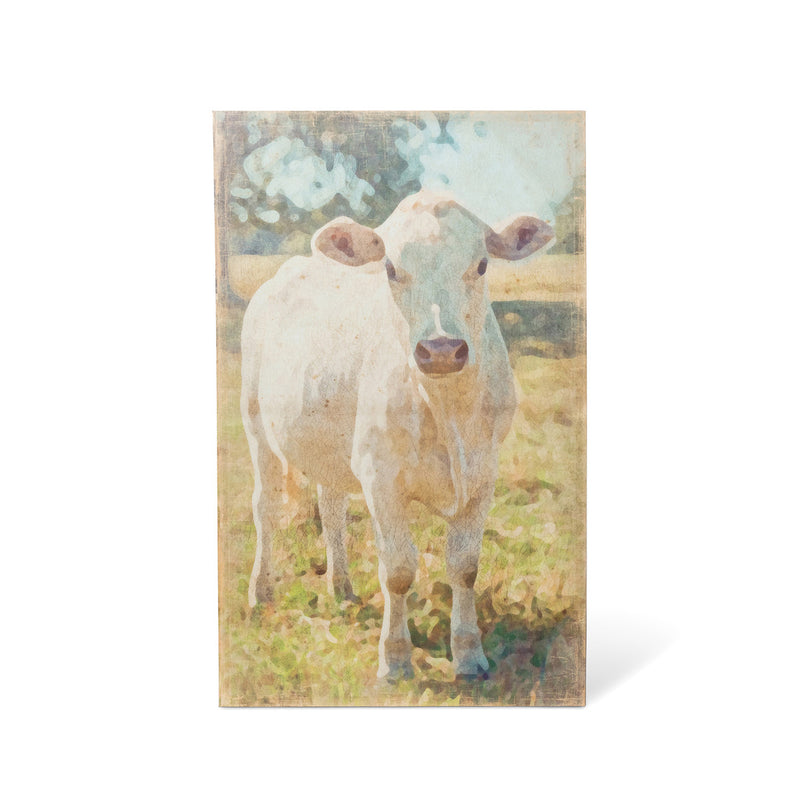 Charolais Cow Canvas Print