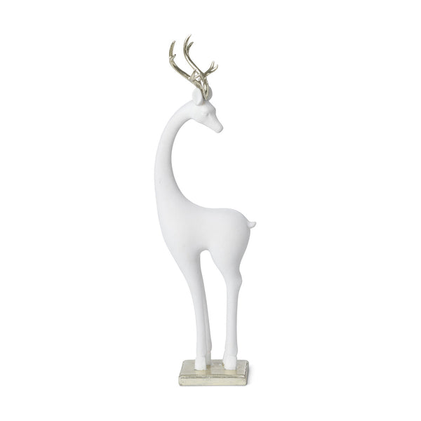 Elegant Standing Deer